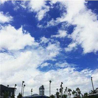 丰禾棋牌手机app下载截图